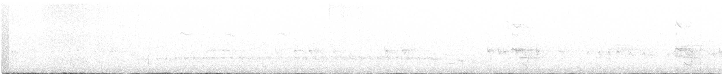 Шишкар ялиновий - ML621120894