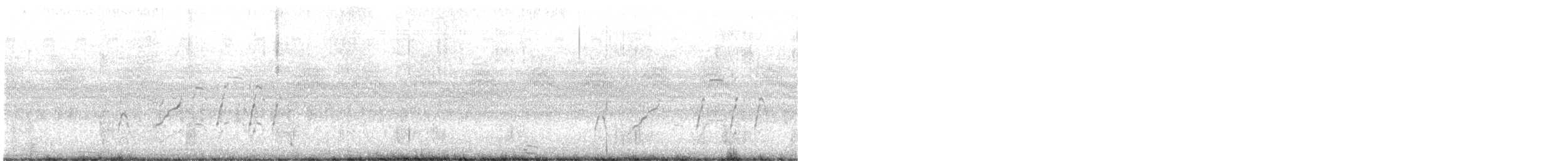 Dendrocygne à ventre noir - ML621121767