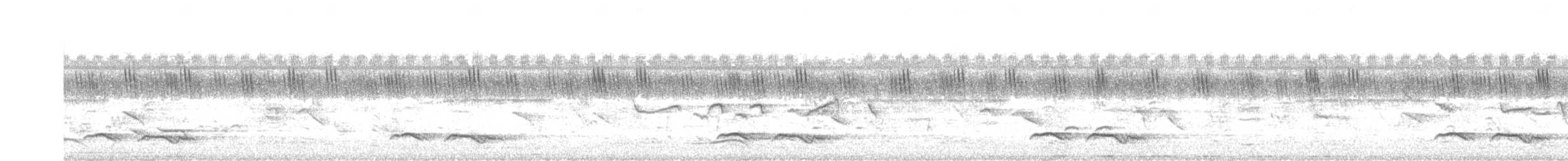 Зозуля білогорла - ML621122671