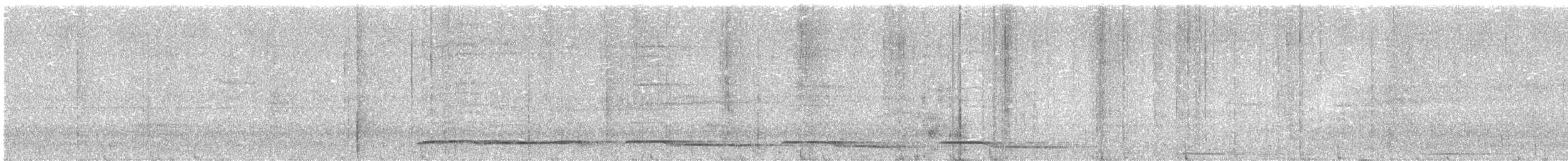 Суматранская воронья кукушка - ML621122940