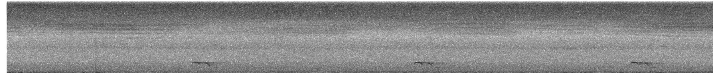 Тимелія-криводзьоб чорновуса - ML621123227