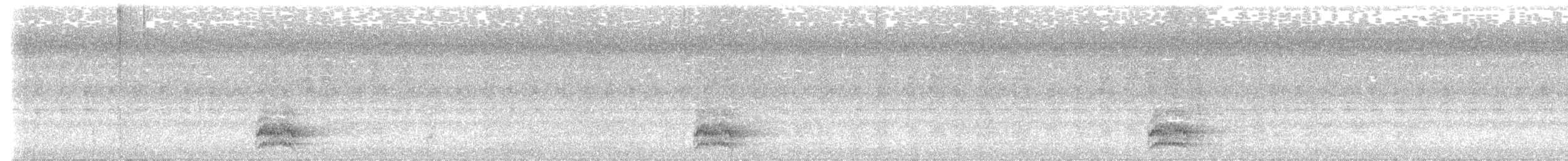 Бронзовохвостый павлиний фазан - ML621123995