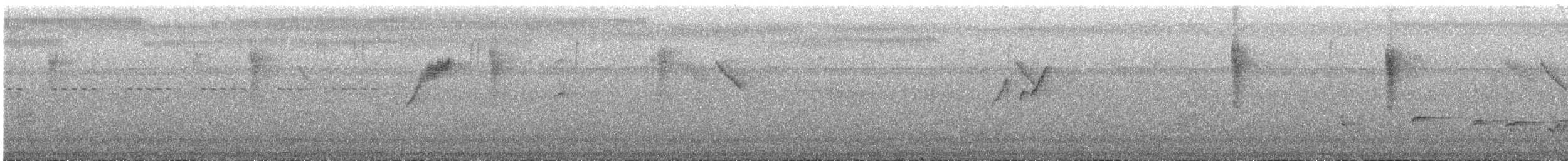 Turuncu Karınlı Öksekuşu - ML621125214