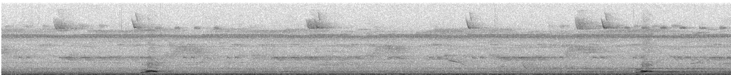 Motmot caraïbe - ML621125238