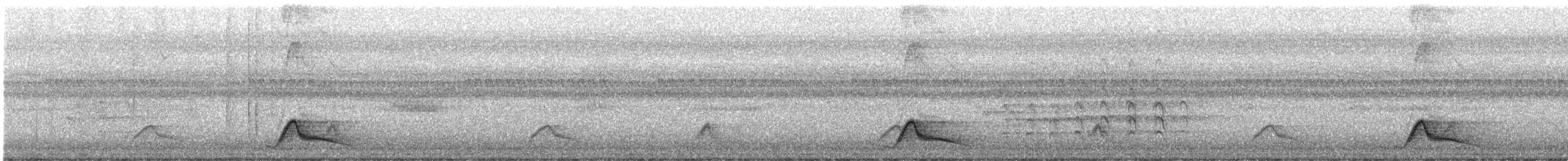 Pauraquenachtschwalbe - ML621125294