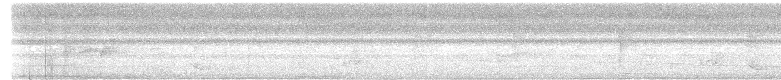 Kurzschopf-Hornvogel - ML621128768