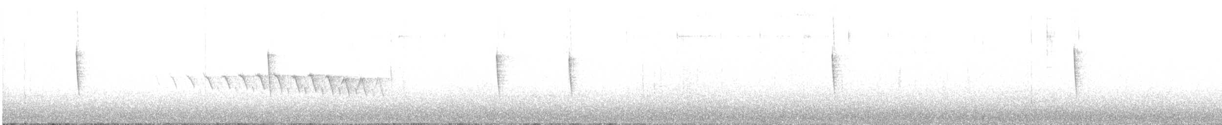 Серый юнко (dorsalis) - ML621130922