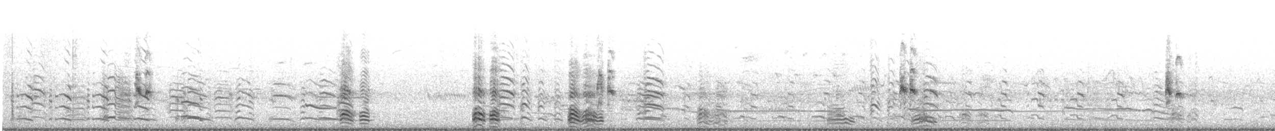 Râle de Virginie - ML621130968