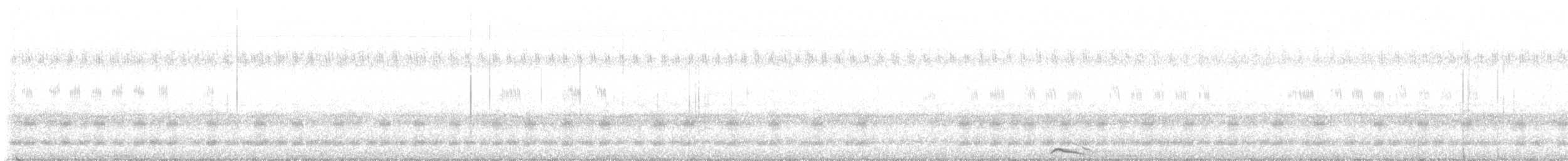 Halsband-Zwergohreule - ML621131196