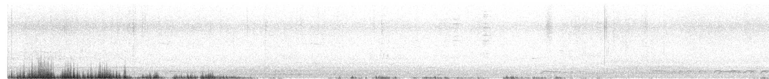 Zebra Dove - ML621131786