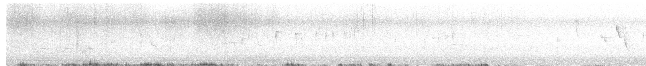 holoubek vlnkovaný - ML621131898