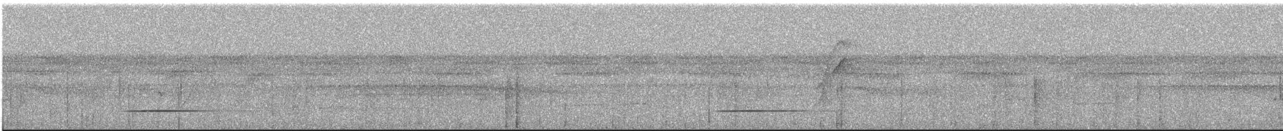 Серый скрытохвост - ML621132165