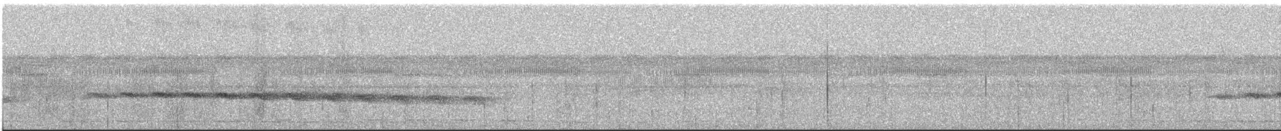 Schmalbrauen-Ameisenschnäpper - ML621132542
