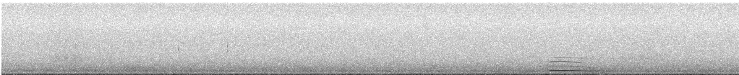 Сова сіра - ML621132806