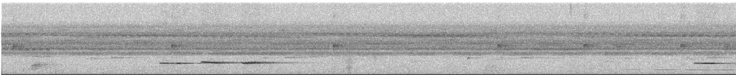 Pheasant Cuckoo - ML621132858