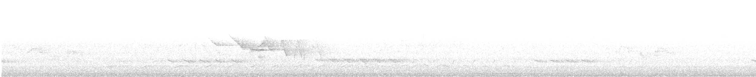 Трясогузковый певун - ML621134368
