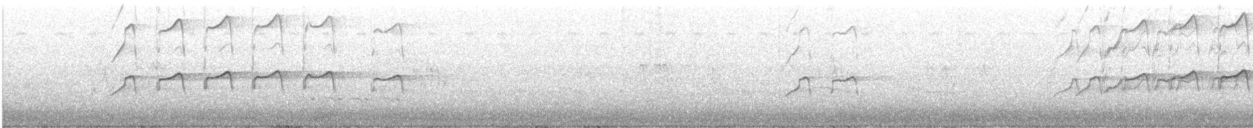Swallow-tailed Kite - ML621134674