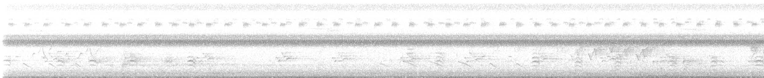 Weißbrustkleiber - ML621135799