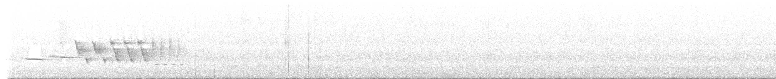オジロヒメドリ - ML621137731