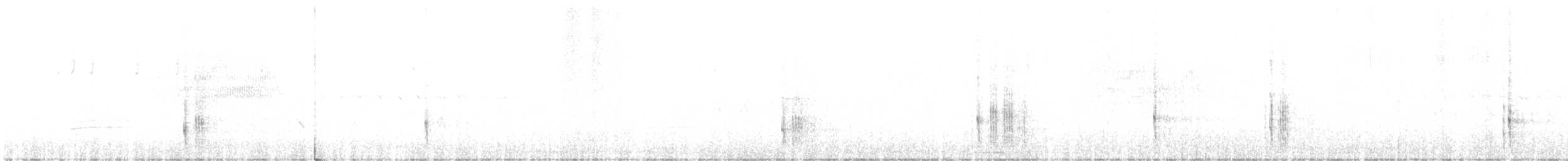 svartryggspett - ML621138181