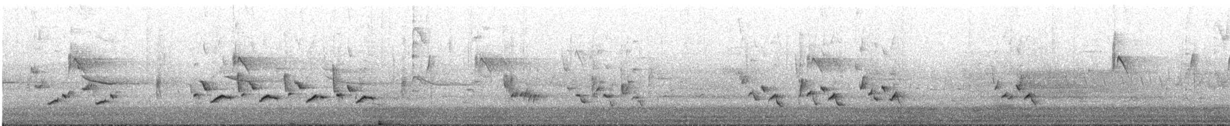 Поплітник каролінський - ML621139216