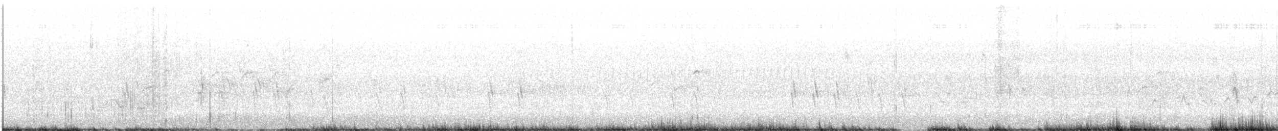 Piquituerto de Cassia - ML621139241