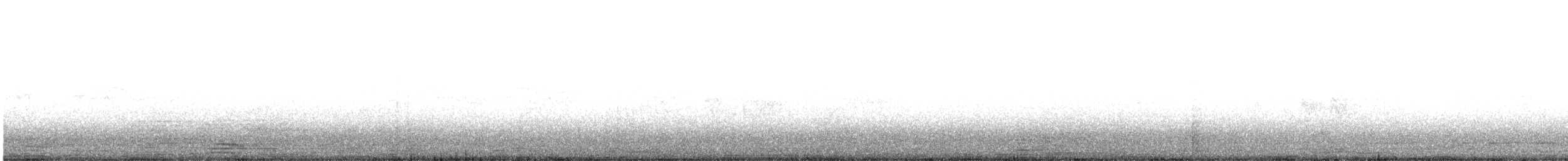 holub skalní (domácí) - ML621139633