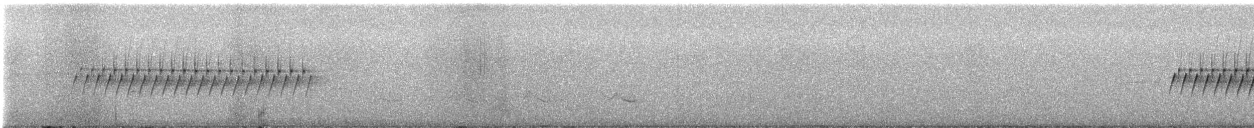 Юнко сірий (підвид caniceps) - ML621139824