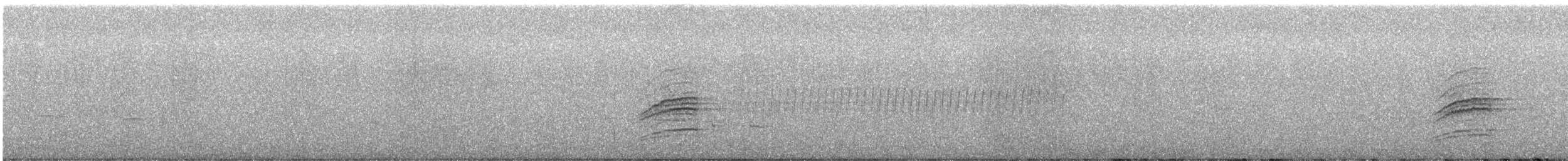 Дрізд-короткодзьоб плямистоволий - ML621139852