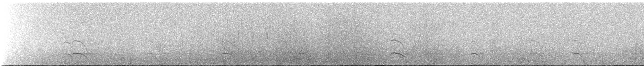 オーストラリアクロミヤコドリ - ML621140169