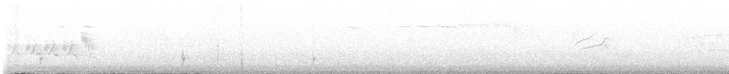 myrteparula (auduboni) (sitronstrupeparula) - ML621140477