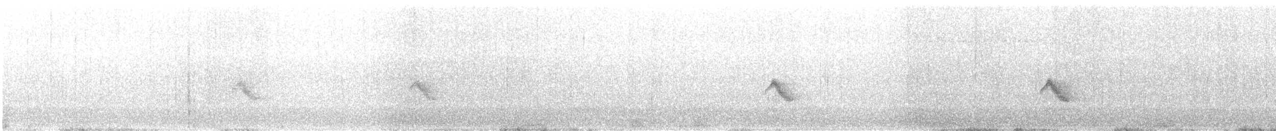 Дрізд-короткодзьоб канадський - ML621140589