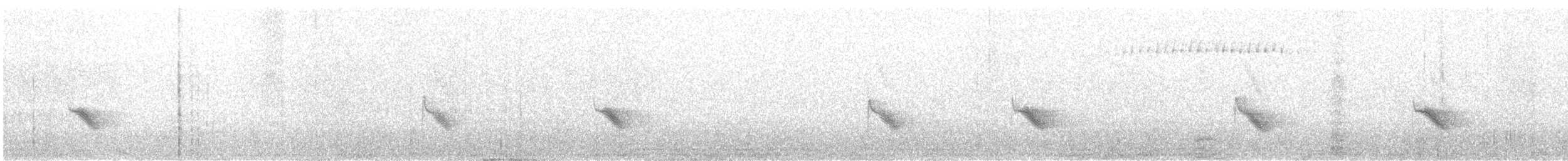 Пестрогорлый соловьиный дрозд - ML621140765