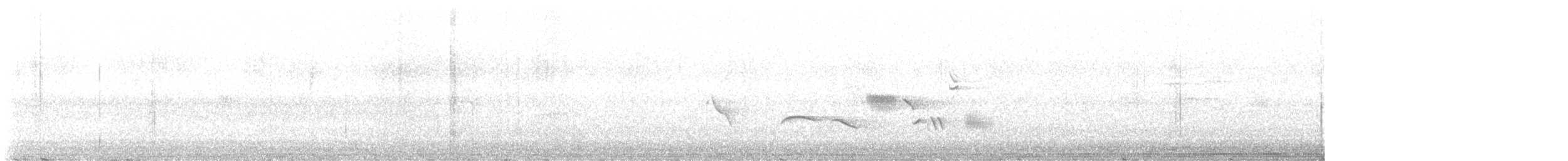 Пестрогрудая овсянка [группа schistacea] - ML621140816