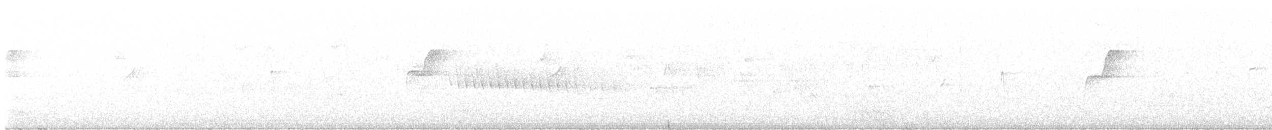 Batı Amerika Sinekkapanı [difficilis grubu] - ML621141327