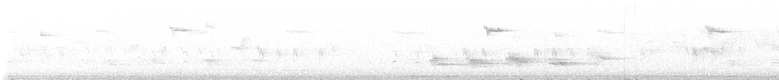 Шишкар ялиновий - ML621142223