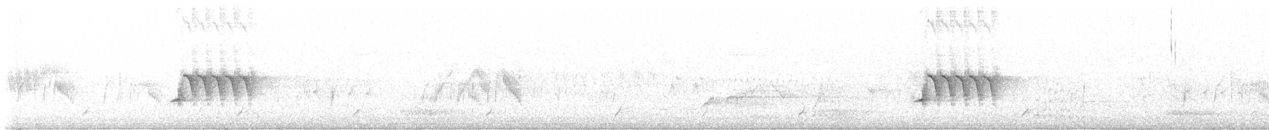 Fleckengrundammer [oregonus-Gruppe] - ML621142232