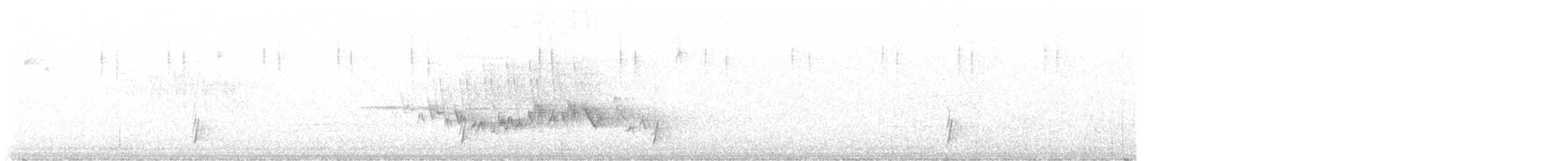 purpurfink (californicus) - ML621142256