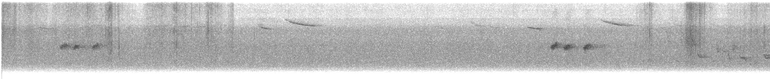 White-throated Dipper - ML621142501