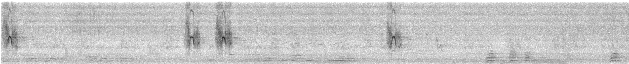 Деревенская ласточка (erythrogaster) - ML621142502