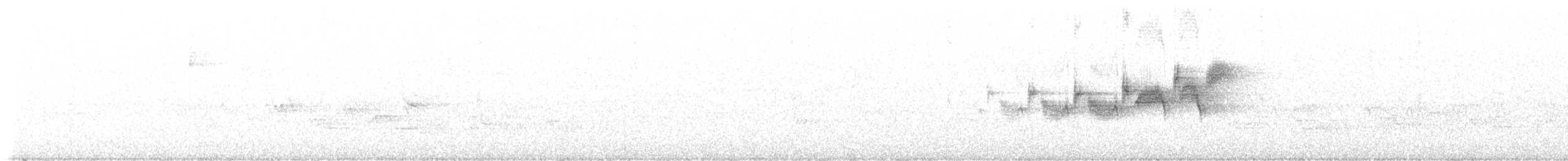 Black-throated Gray Warbler - ML621142788