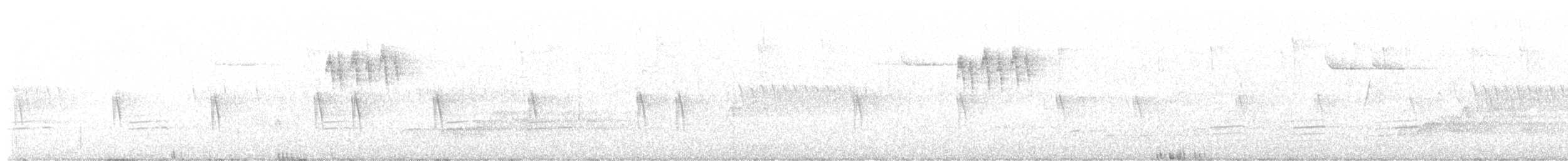 Шишкар ялиновий - ML621143101
