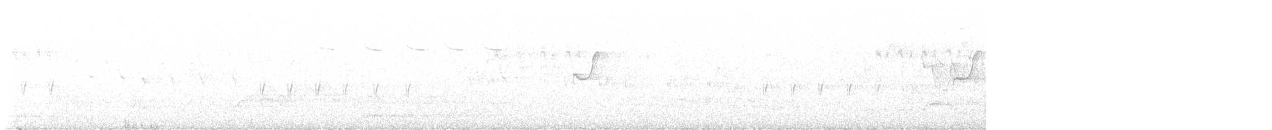 Шишкар ялиновий - ML621143102