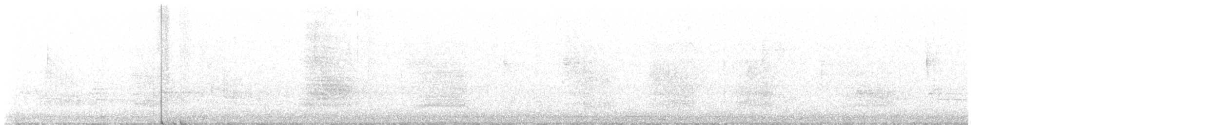 Geai de Steller (groupe stelleri) - ML621143310