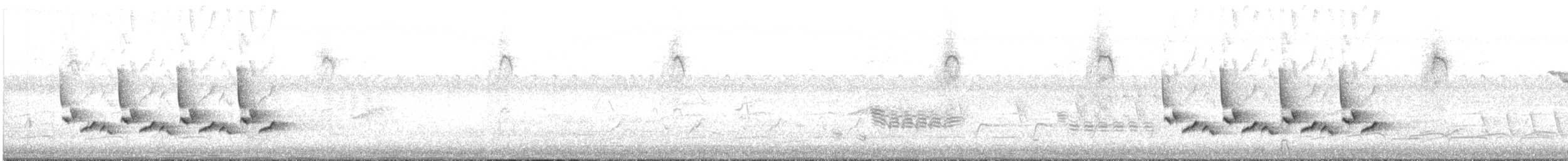 Каролинский крапивник - ML621143428