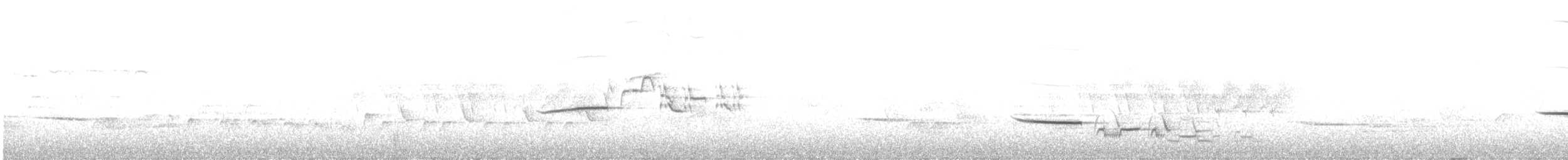 Münzevi Bülbül Ardıcı - ML621144244