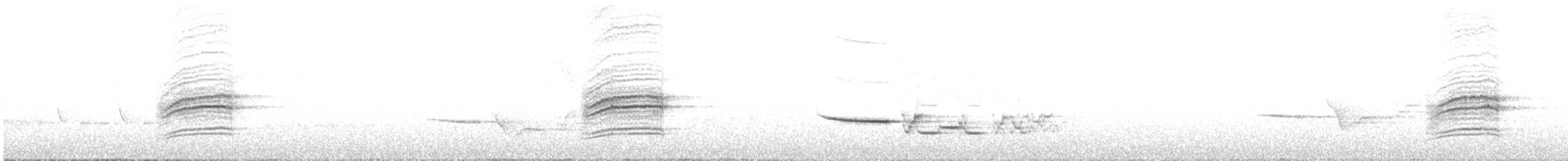 Дрізд-короткодзьоб плямистоволий - ML621144245