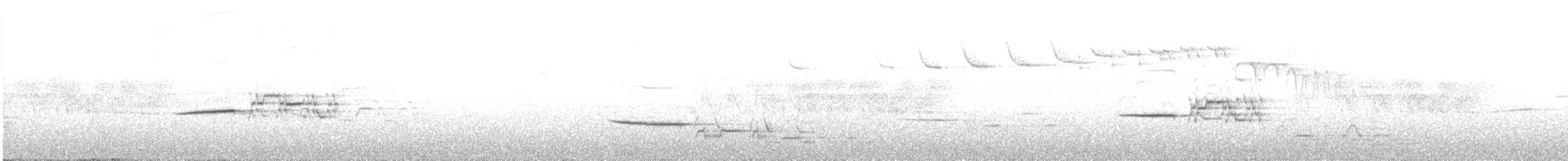 Münzevi Bülbül Ardıcı - ML621145731