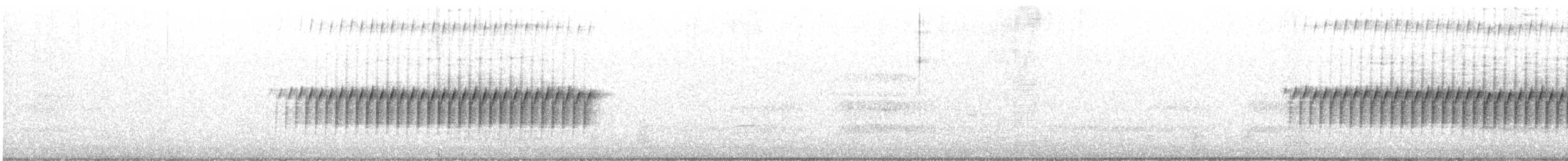 Юнко сірий (підвид caniceps) - ML621146068