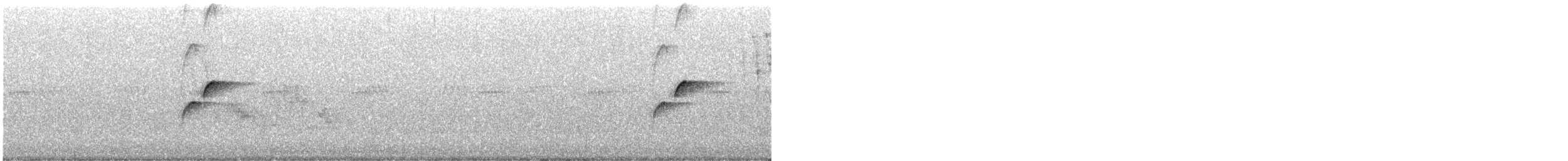 Batı Amerika Sinekkapanı (occidentalis/hellmayri) - ML621146581